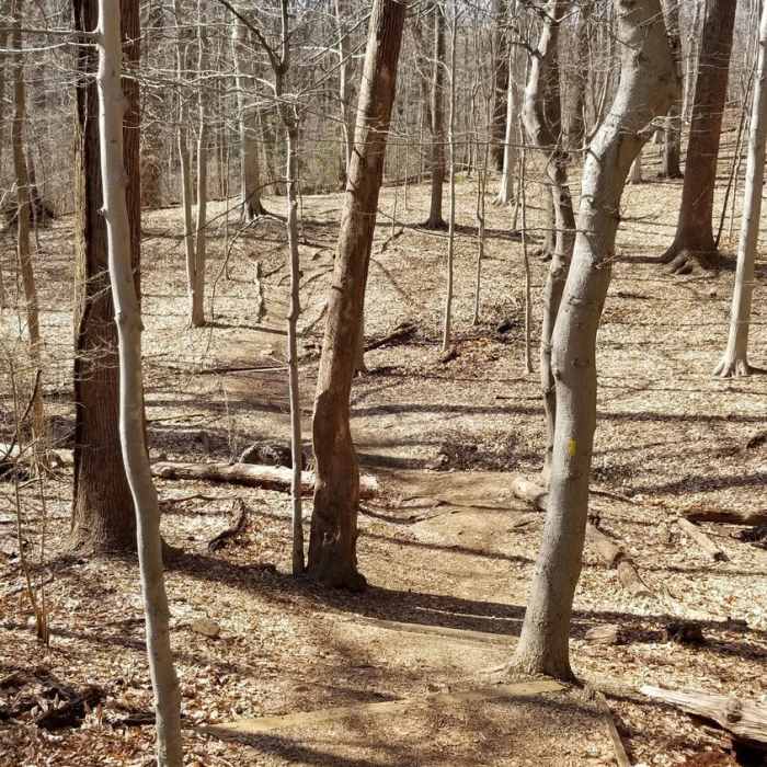 Near Glover-Archbold Trail