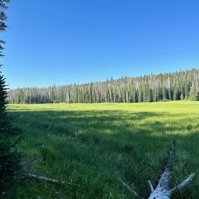 Near Continental Divide Trail: Montana-Idaho Section 19