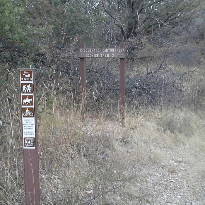 Near Middlemarch Canyon Trail #277