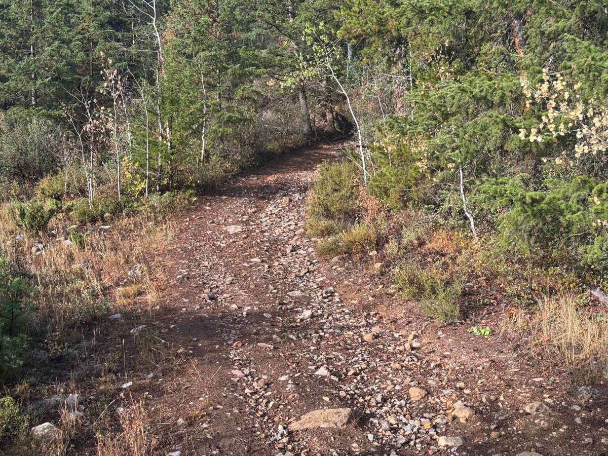 Little Deadman Road photo 2