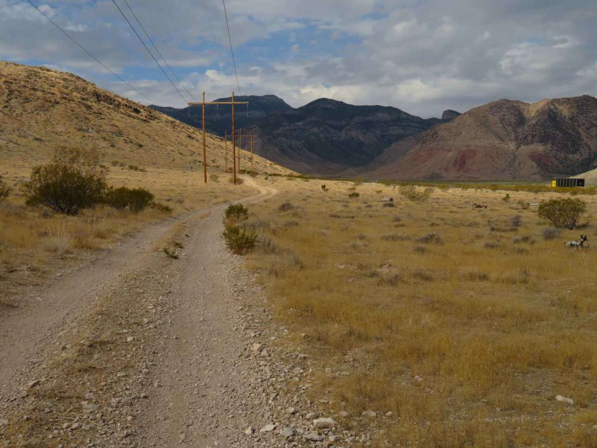 Badger Pass Loop trail photo