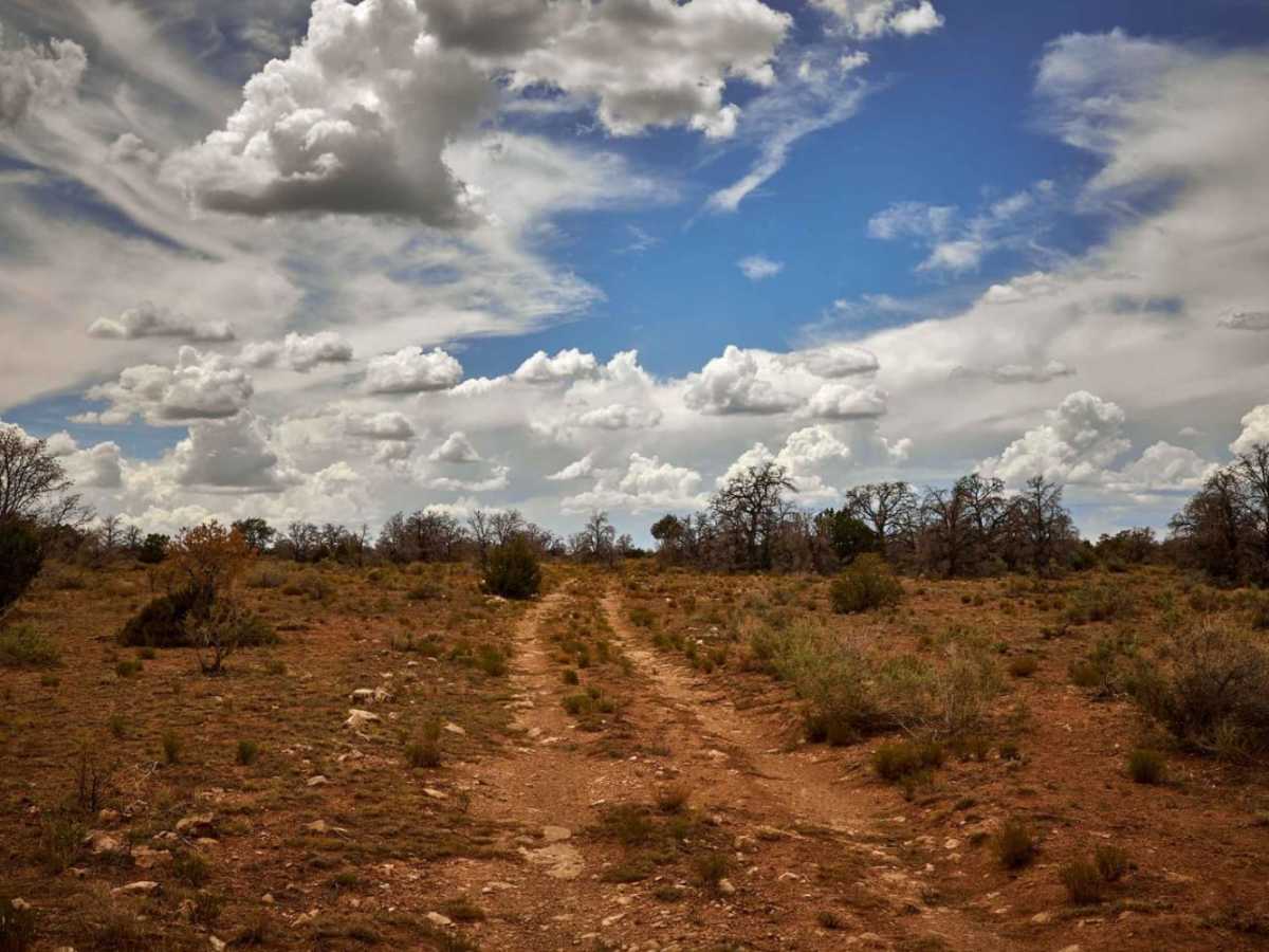 FR 2763 photo 3