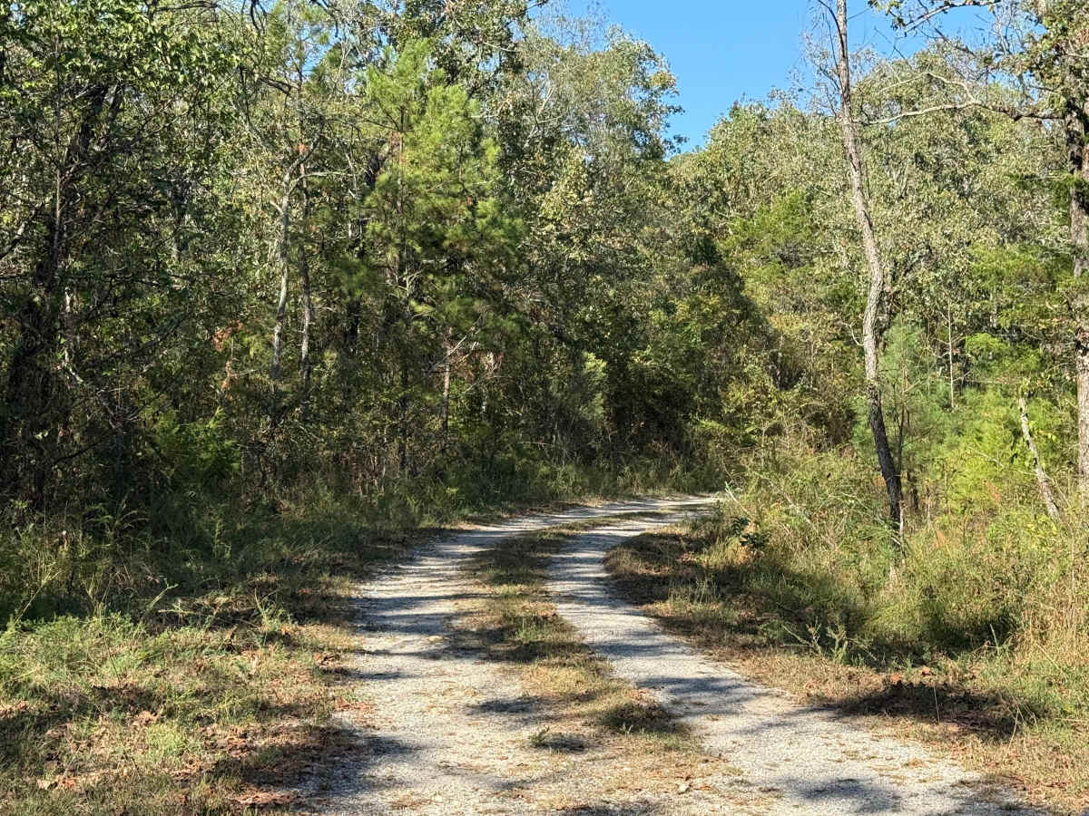 Shack Creek photo 2