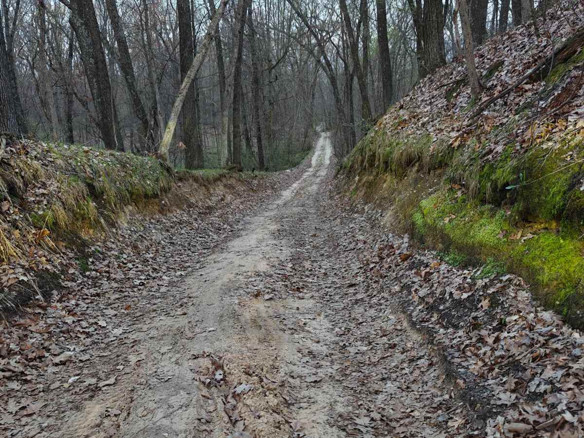 Hart Trail photo 6