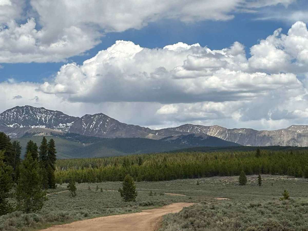 Upper Bull Road trail photo