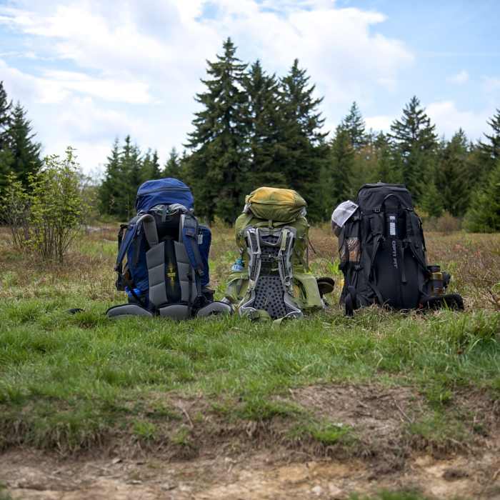 Upper Red Creek / Blackbird Knob Junction Near Blackbird/Ridge Loop