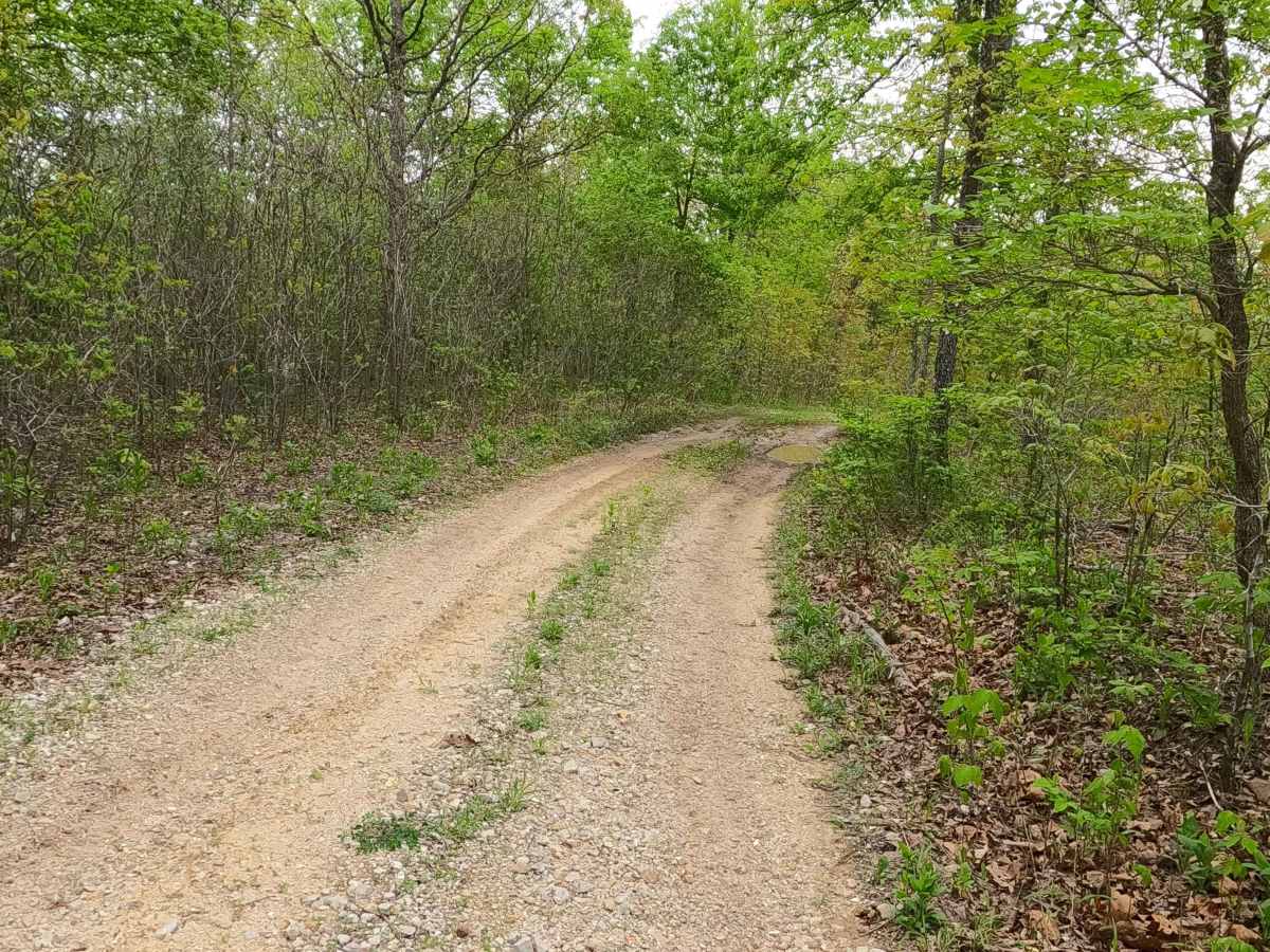 James Ridge - FS 2754 photo 6
