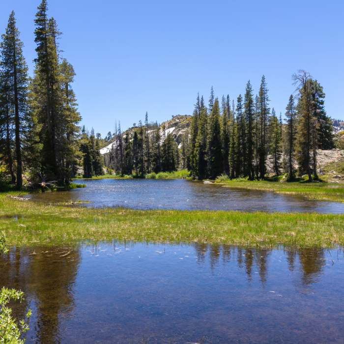 Near Long Lake Trail