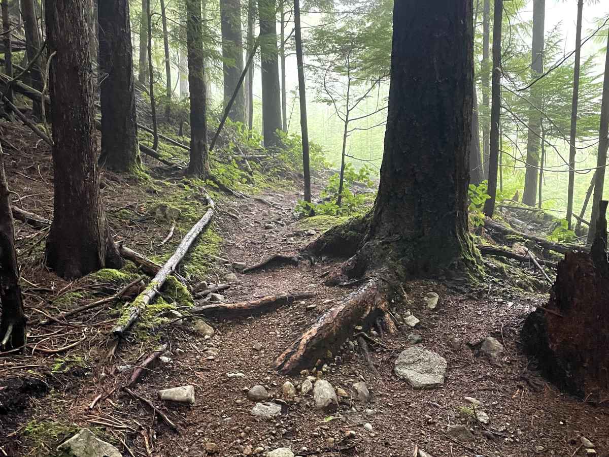 Are You Kidding Me? trail photo