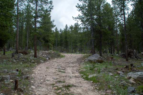 Alexander Loop - FR80940