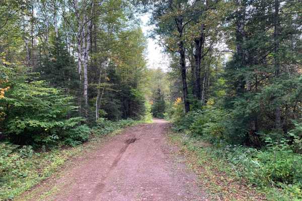 Shoepack Lake Spur C Trail - FS 359C