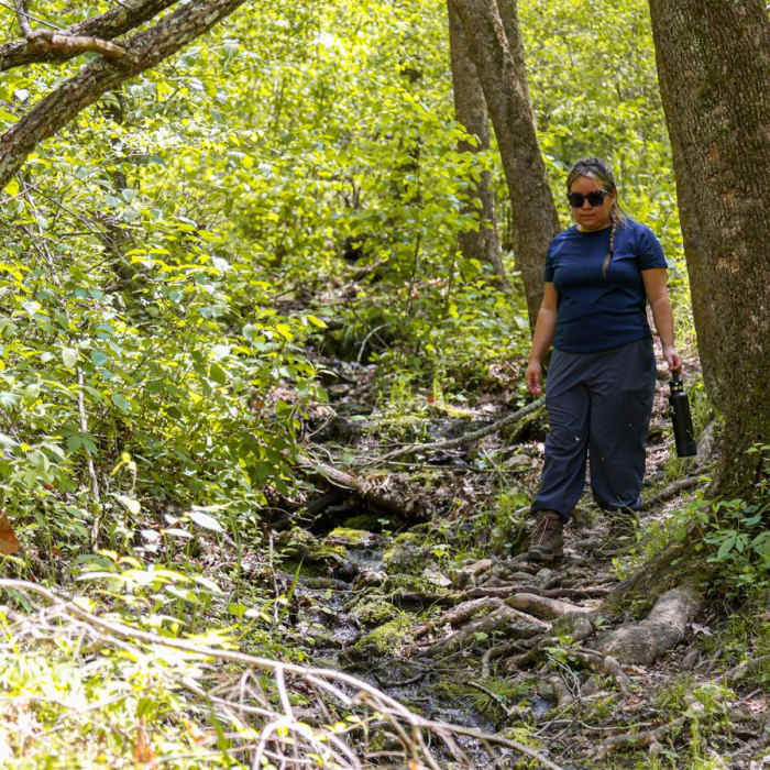 Near Dogwood Loop Trail Near Dogwood Loop Trail