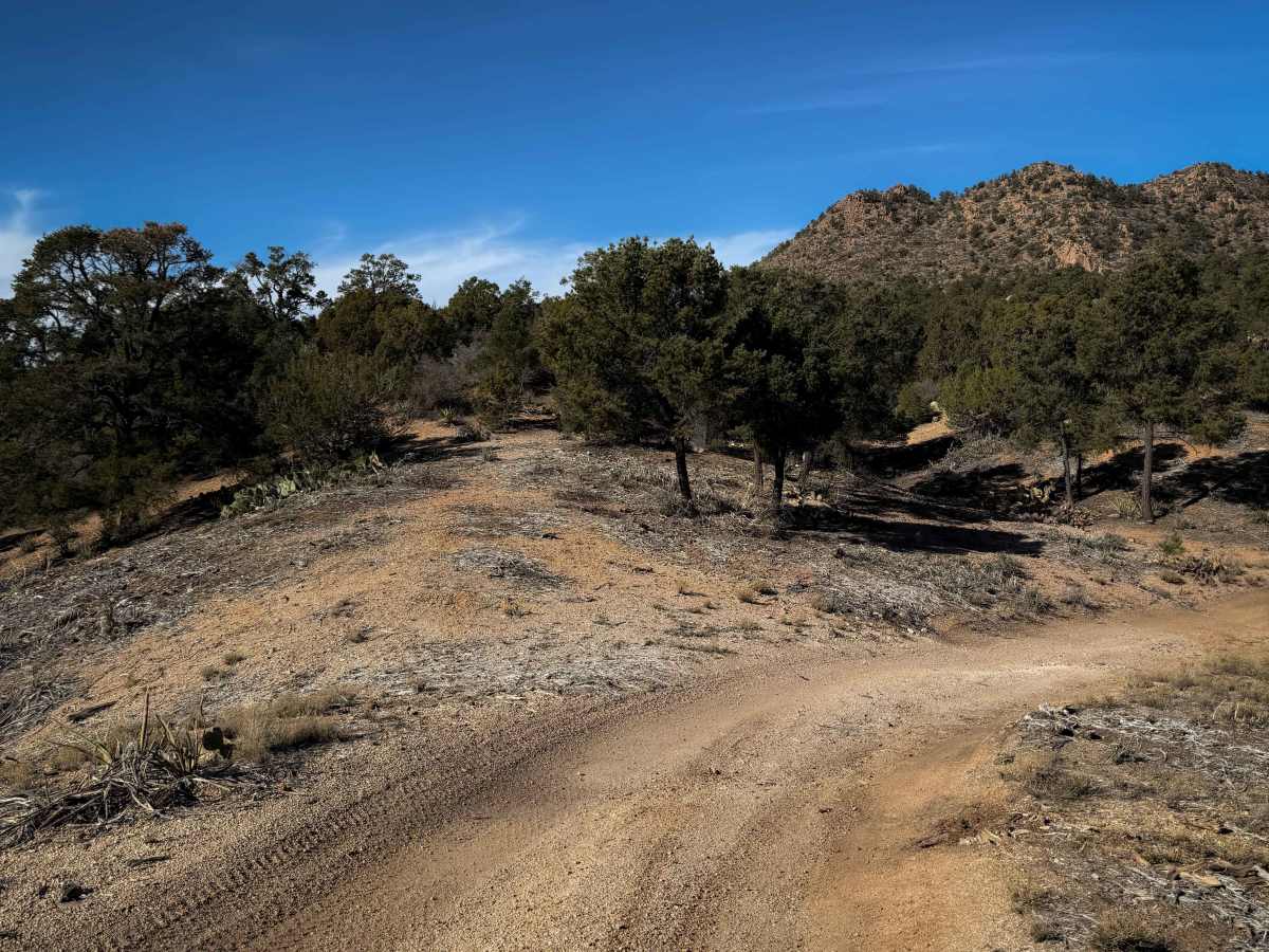 BLM Route 7125 photo 5