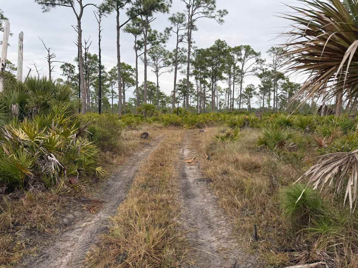 Remington's Run trail photo
