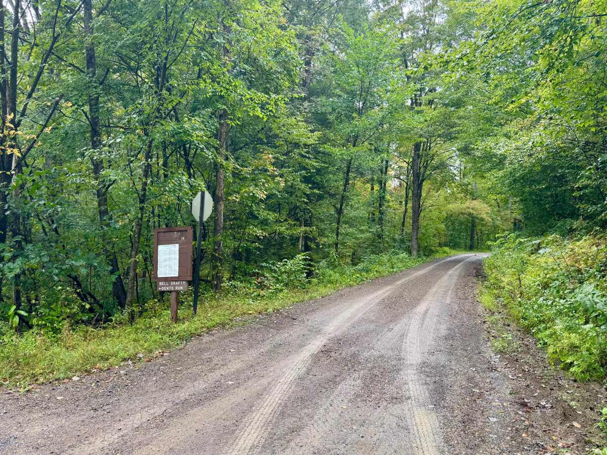 Belle Draft Road photo 5