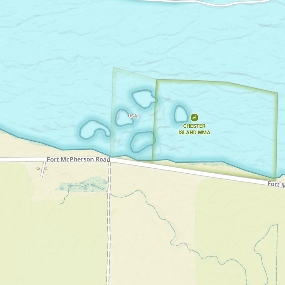 Chester Island WMA photo
