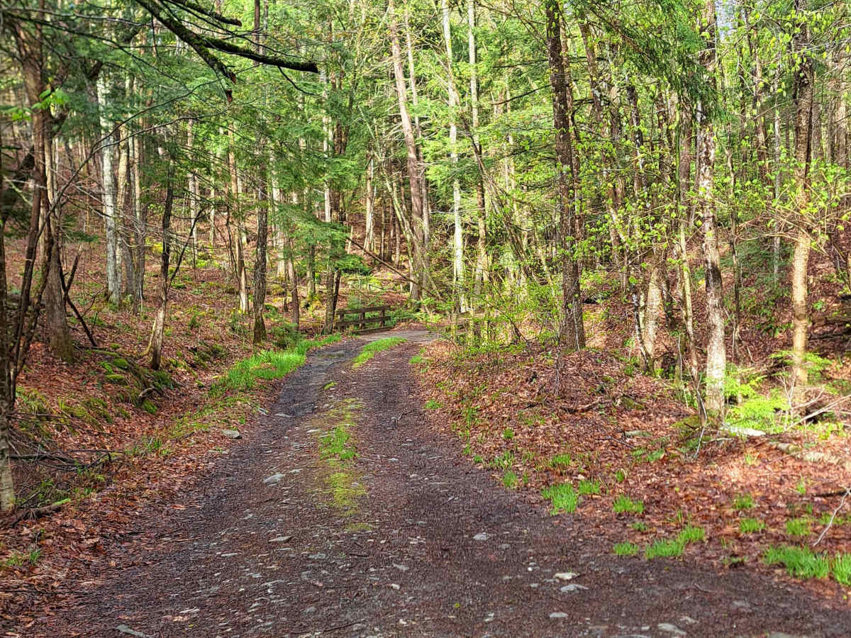 Burton Woods Road photo 2