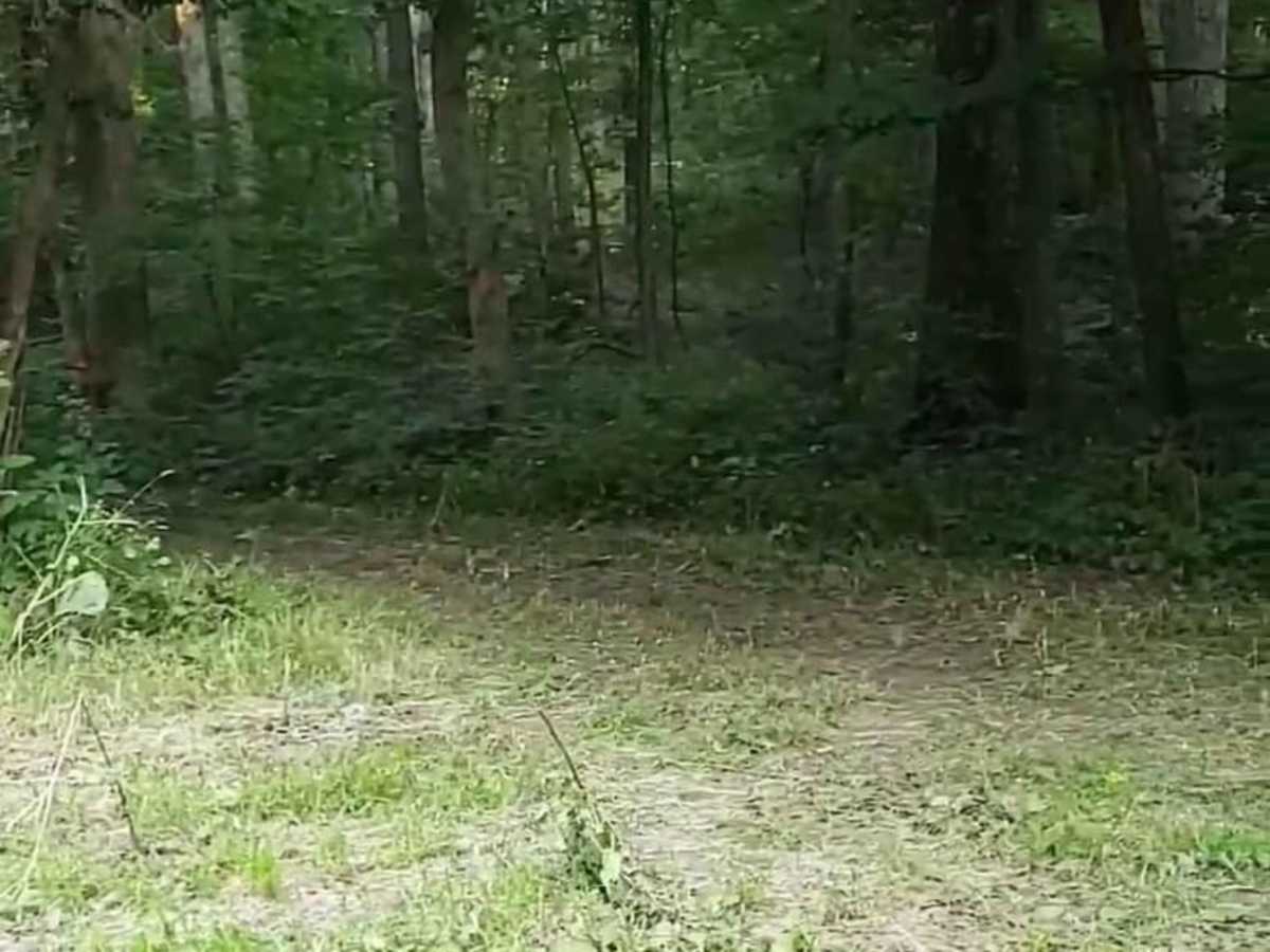 Middle Creek photo 3