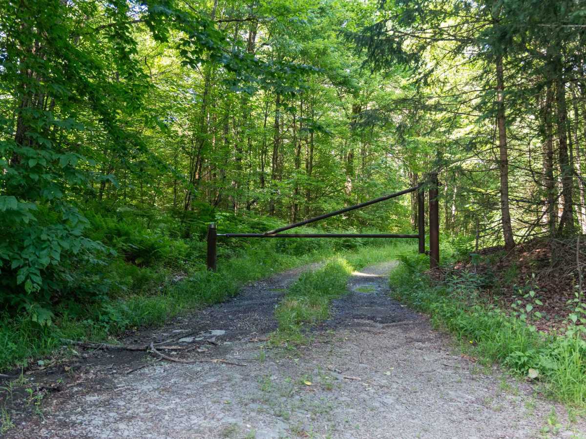 Chickadee Howl Road photo 5