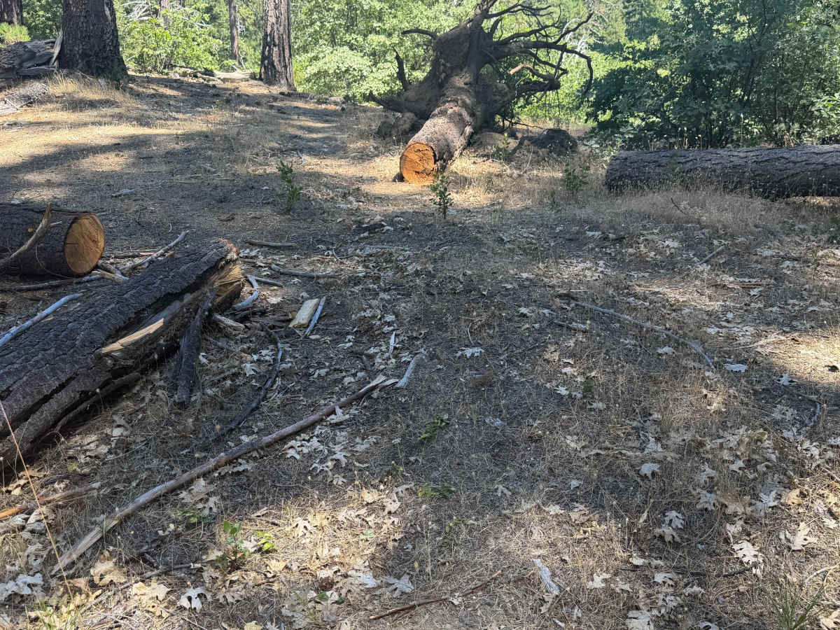 Little Baldy - FS 23N17 photo 2