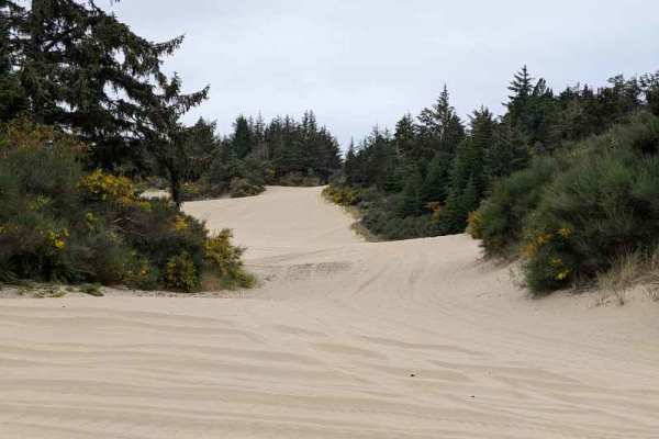 South Jetty Trail A - FS 1344A