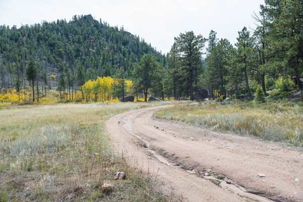 Forest Service Road 181A