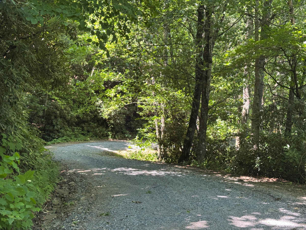 Flat Creek - FS 4662 photo 2