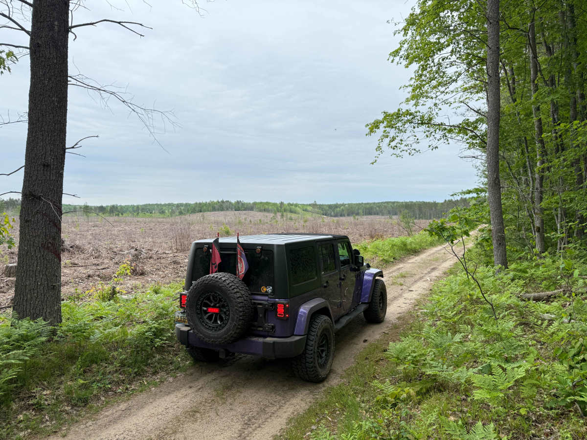 Kalkaska North Mountain Bike Trail photo 4