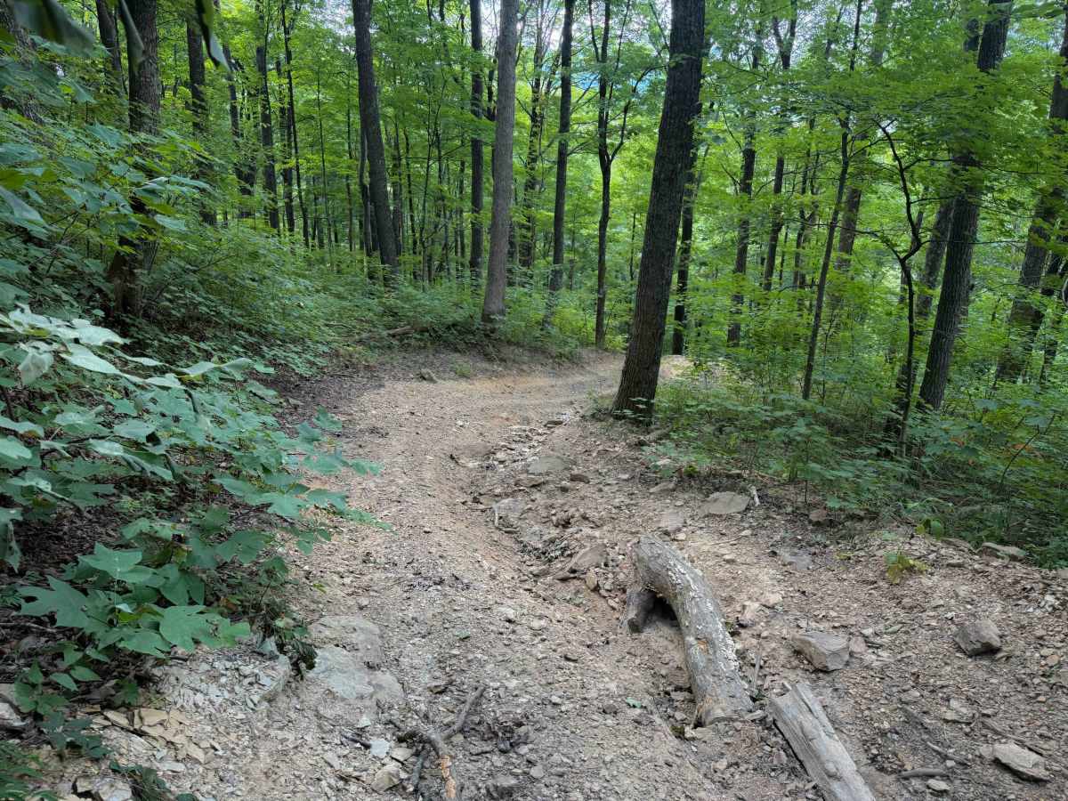 Laco Pit Trail  photo 4