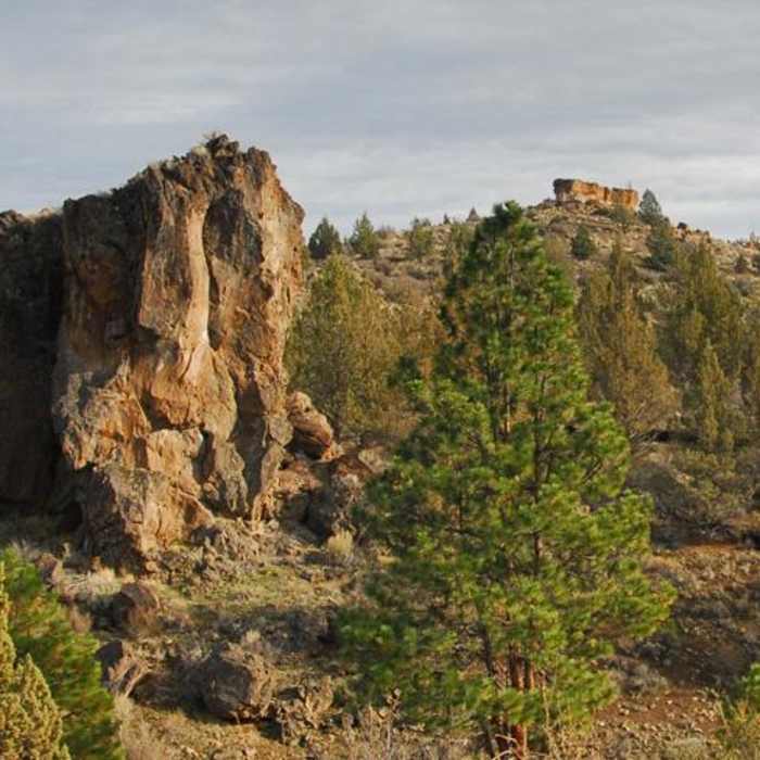 Near Lower Whychus Creek Trail