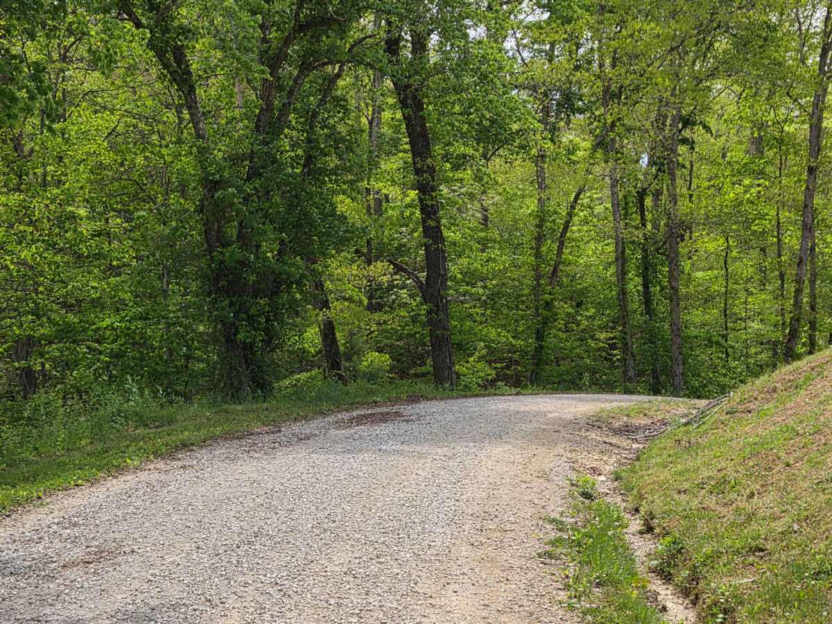 Pierson Road photo 6