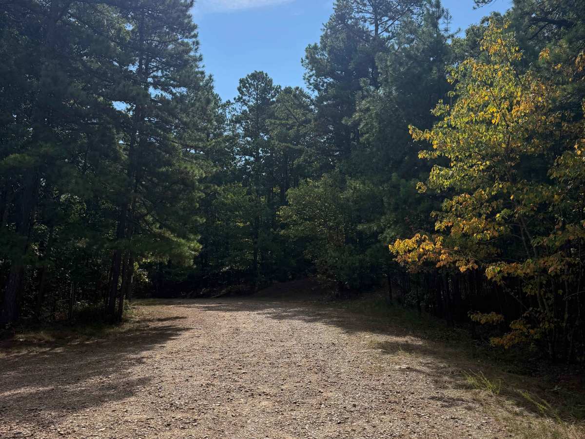 Merriott trail photo