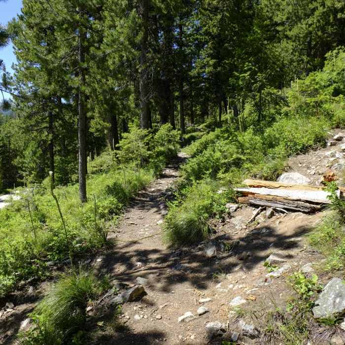 Near Bear Canyon Overlook