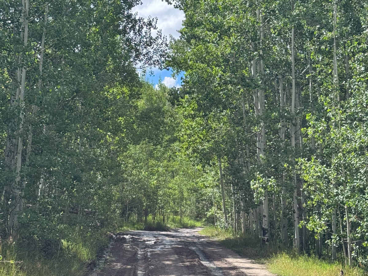 Mill Creek Road  photo 5