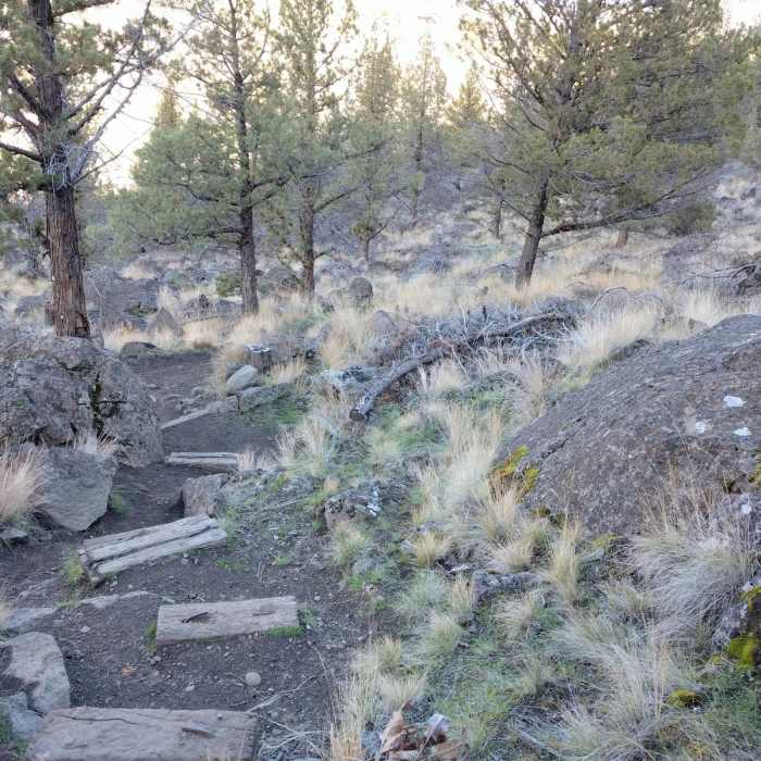 Near Tam-a-Lau Trail