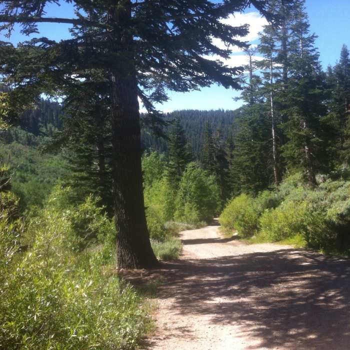 Tunnel Creek Road Near Tunnel Creek Road