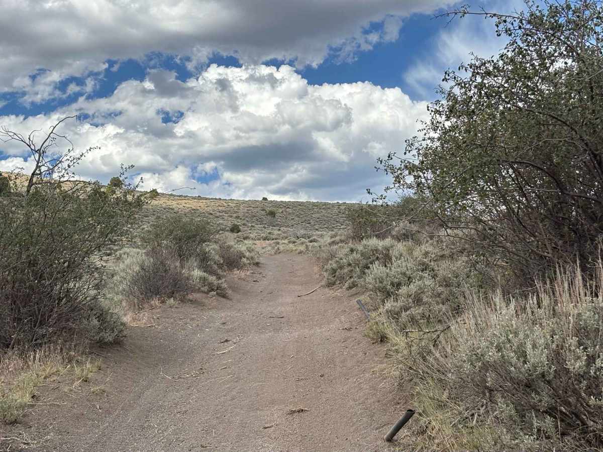 No Name Hill photo 5