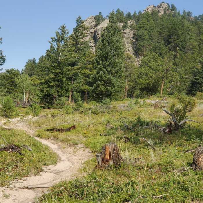 Near Twin Sisters Peak Trail