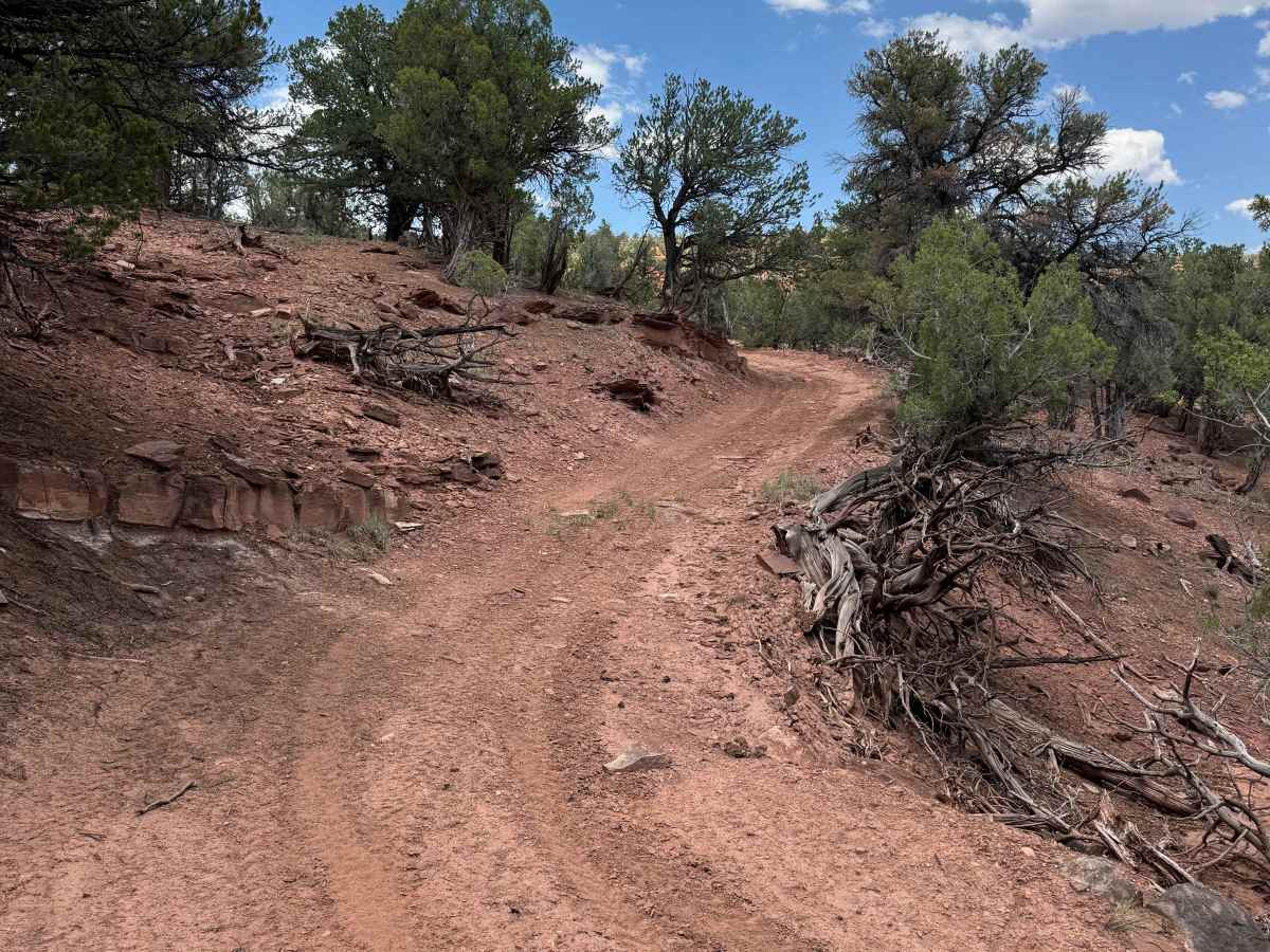 BLM 8457A photo 5