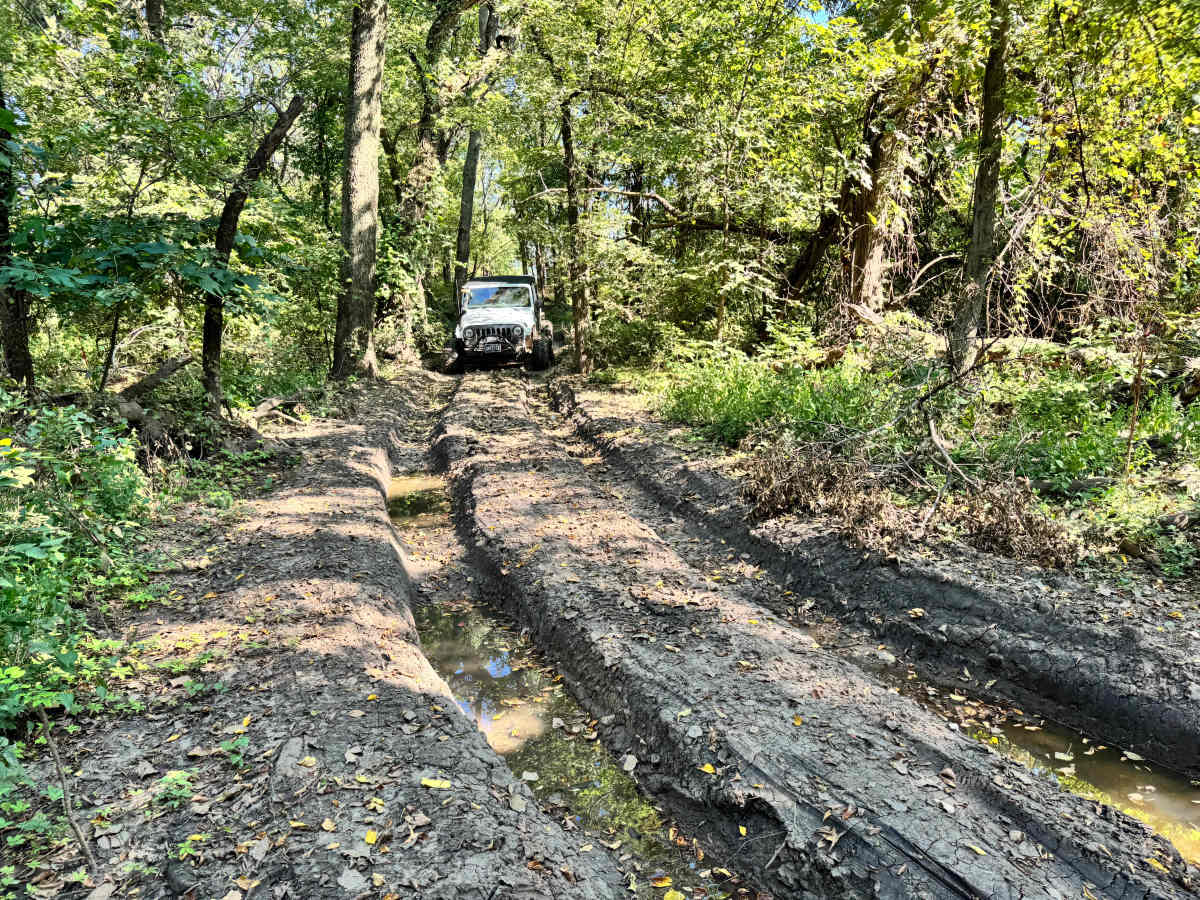 Cummins Corner photo 5