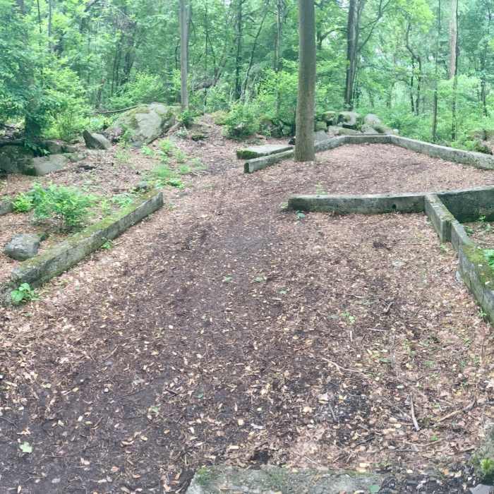 Near Observation Tower Loop