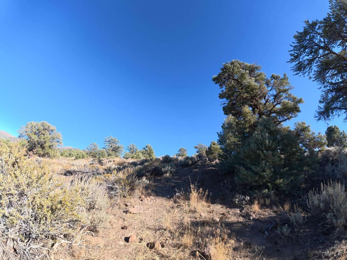 Loop Road K photo 2