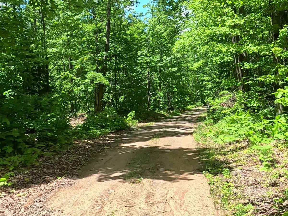 Little Pup Creek photo 6
