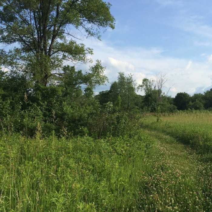 Near Ice Age Trail: Brooklyn Wildlife Area Segment