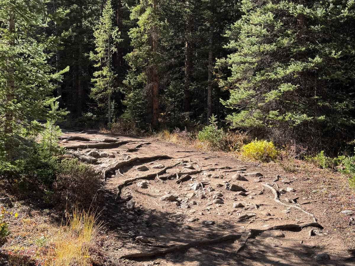 South Halfmoon Gulch/Iron Mike Mine photo 3