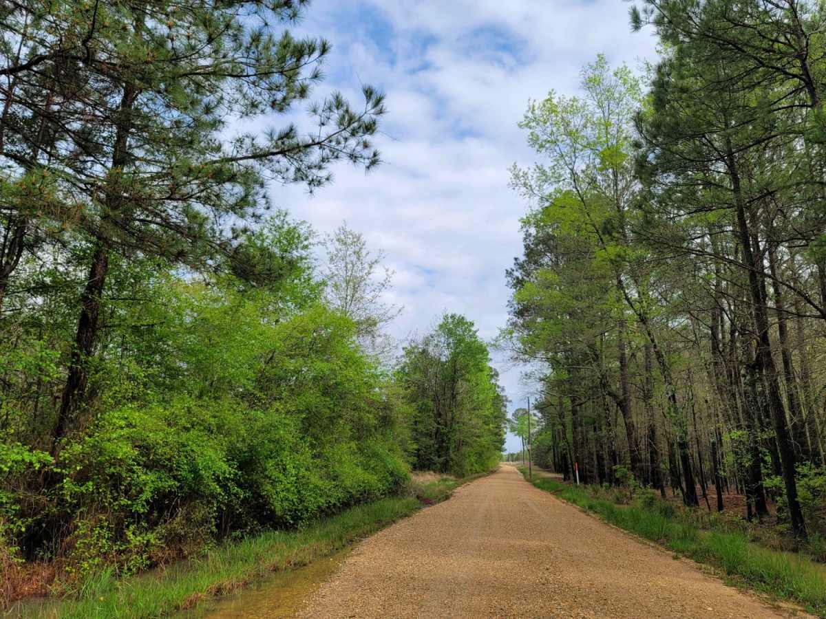 The Arkansas Overland Route - Section 11 - County Road 30 and 32 photo 3