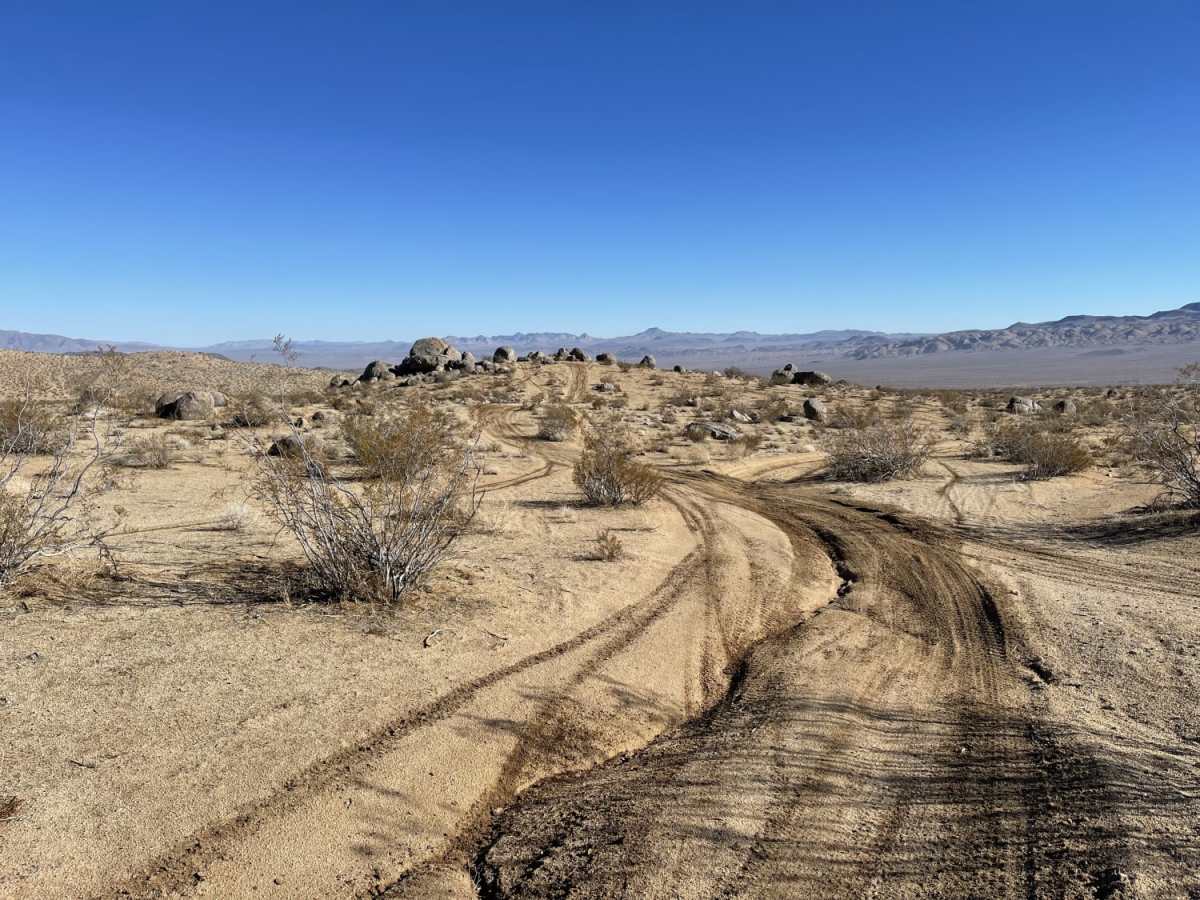 Viejo Road photo 5