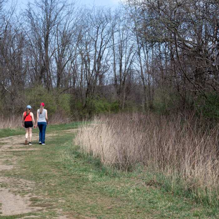 Near Homestead Trail