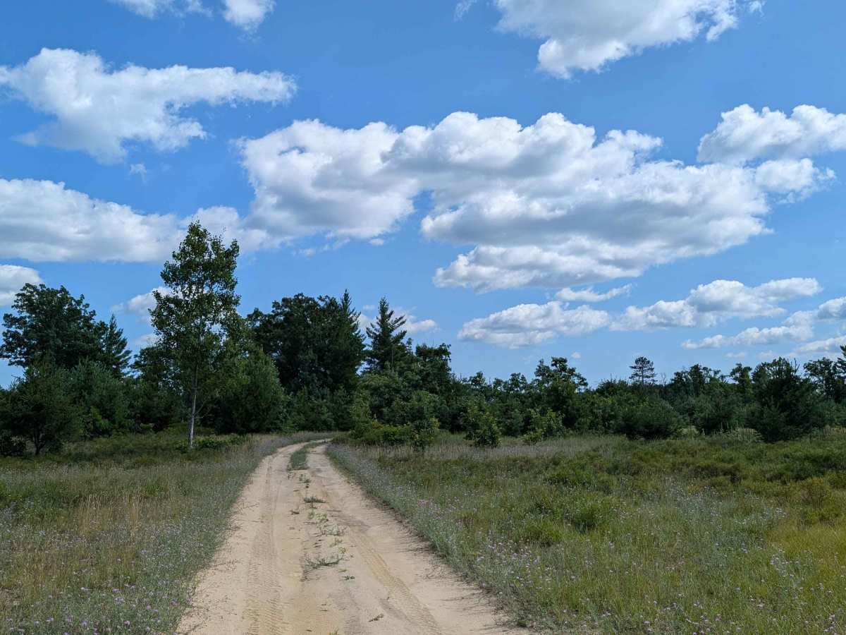 Plains Creek Trail photo 6