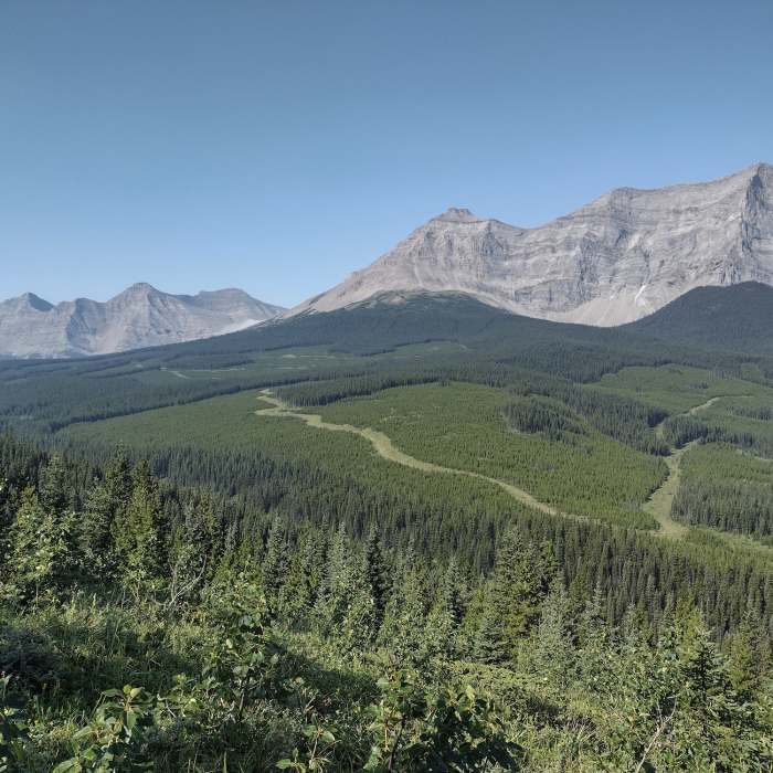 Massive Mount Etherington, 9,439 ft., on the Great Divide, looms over forested valleys below. Seen looking southwest near Etherington Creek. Near Colorado Trail Segment 10